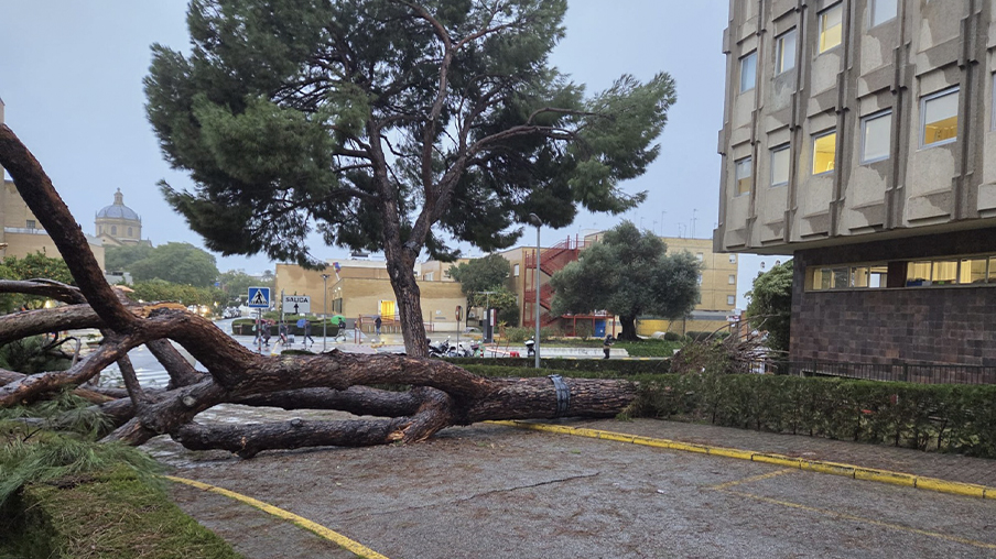 Efectos del último temporal en el Hospital Virgen del Rocío de Sevilla.