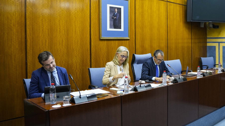 Comisión de Salud del Parlamento andaluz con la Consejera Rocio Hernández