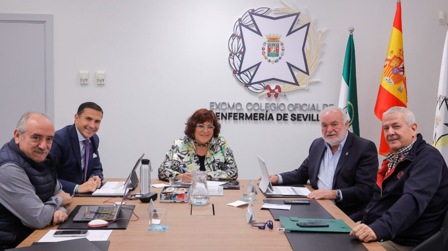 Consejo Enfermería Andalucía y SATSE se reúnen 